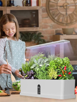 GreenSprout™: Automatic Indoor Hydroponic Garden