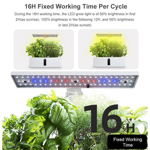 GreenSprout™: Automatic Indoor Hydroponic Garden